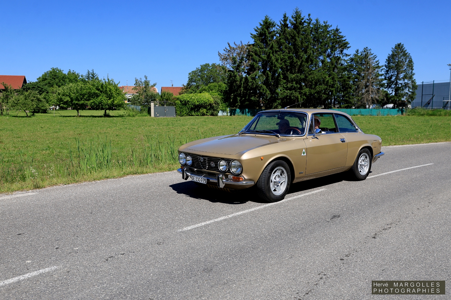 Alfa Romeo Giulia.JPG